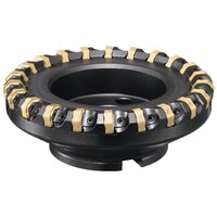 �_�C�W�F�b�g�@�l�K�w�v�^�@�{��