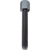 �j���[�X�g�����O�@�N�����v�{���g