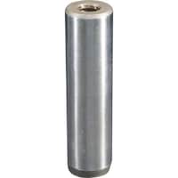 �j���[�X�g�����O�@�V�����_�[�s��