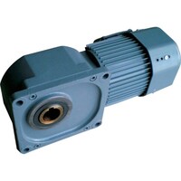 �V�O�}�[�@���󎲃t�����W��t�`�����@�@�O���O�D�S�j