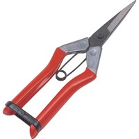 �f�r�@�啟�@�����