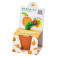 �͔|�K�[�f���Z�b�g�@�I�����W�o�[��