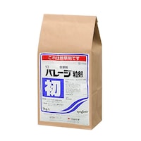 �_��@�o���[�W���܁@�R����