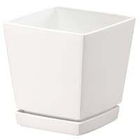 �N�G���`���[�|�b�g�v���[�g�t