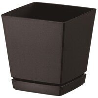 �N�G���`���[�|�b�g�v���[�g�t�S���@�a�j