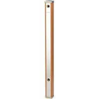 ���𒌁@�u���E���ؖځ@�V�O�p