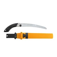 �S���{�[�C�V�J�[�u�r�ږ{�́@�Q�S�O