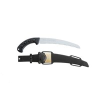 �y�t�a�`�s�i�Y�o�b�g�j�{�́@�Q�V�O