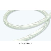 �S�[���h�t���b�N�X�k