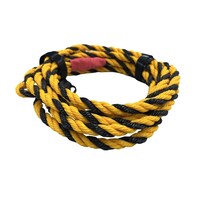 �^�C�K�[�t���b�V���T����