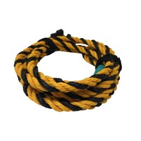 �^�C�K�[�t���b�V���T����