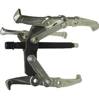 �M���[�v�[��