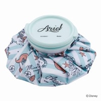 �X�̂��@�A�C�X�o�b�O�@�r�T�C�Y�@�A���G���Q�R