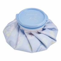 �X�̂��@�A�C�X�o�b�O�@�r�T�C�Y�@�V�i�����[������