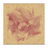 ���߂����n���R�^�j���A���X�@�P�O�W�U�|�O�P�O