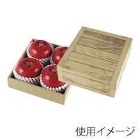 �M�t�g���@�t���[�c�M�t�g�@���ؖځ@�~�j�~�T