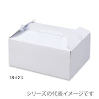 �z���C�b�P�O�T�@�v�g�@�P�W�~�Q�S�~�S