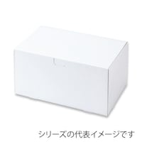 �m�G���J�[�g���P�O�T�@�P�Q�~�P�W�~�P�Q