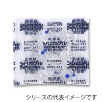 �V���J�Q���r�`�R���@�P�O�O�~�Q�T�~�Q�T