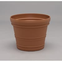 �o�����V�A�|�b�g�@�P�T���@�u���E��