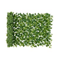 �c�d�b�n�@�f�q�d�d�m�@�t�F���X���V�F�[�h�@�k�f