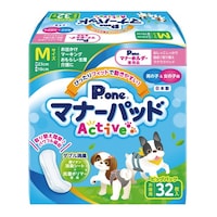 �}�i�[�p�b�h�`�����������@�r�b�O�p�b�N�@�l�@�R�Q��