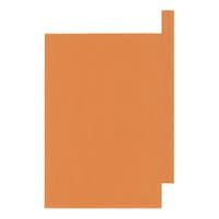 �r���p�ʎ��܁@�I�����W�@����@�~���@�T�T�U�O�O�W