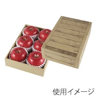 �M�t�g���@�t���[�c�M�t�g�@���ؖځ@��