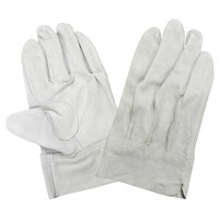 �V�W�R�O�|�P�O�o�@�����v��܁@�O�D��