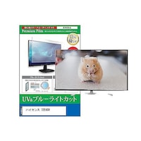 �s�u�p�@�t���ی�t�B�����@�n�C�Z���X�@�R