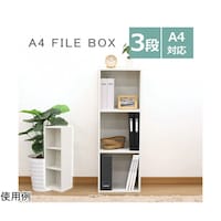 �`�S�t�@�C���{�b�N�X�R�i�v�g�@�l�a�`�|�R