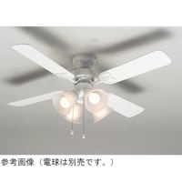 �V�[�����O�t�@���@�S���S���H���@�z���C�g�@�d���ʔ��i�i�d�Q�U�d�l�j�@�s�j�l�S�Q�v�v�S�k�j�m�c�y�Q�@�P��