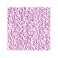 �J�b�g�ρ@�܂ݍ׍H�p��z����߂�@���n�@�R�O�����@�Q�Q�~�Q�Q�����@�Q�S���F�@�r�T�O�b�g�Q�Q�|�Q�S�@�P��