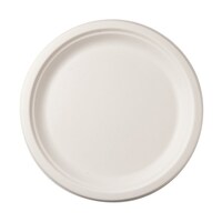 �o�K�X���[���h�@�I�[�X�g�����A���v���[�g�@�P�O�C���`�@�P���i�T�O�~�P�S�ܓ��j�@�o�O�O�T�@�P��