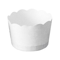 �|�e�g�J�b�v�@�l�T�O�W�@���@�P���i�P�O�O�����j�@�U�Q�U�O�O�O�V�V�O�@�P��