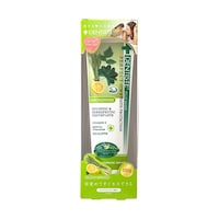 �f���e�B�X�`���[�u�@�������O���X