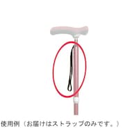 �J�C�m�X�X�g���b�v�@�o�r�|�j�P�@�V�T�Q�O�O�P�@�P�{