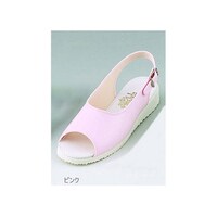 �i�[�X�V���[�Y�@�s���N�@�Q�R�D�O�����@�m���D�Q�P�@�P��