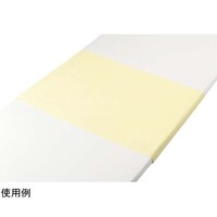 �g���R�b�g�p�C���h���V�[�c�@�N���[���@�b�w�|�O�T�O�O�T�@�P��