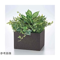 �t�F�C�N�O���[���@�{�b�N�X�^�@�f�B�t�F���o�L�A�~�b�N�X�@���S�O�~���s�S�O�����@�U�P�|�W�R�P�|�X�Q�|�R�@�P��