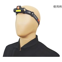 �w�b�h���C�g