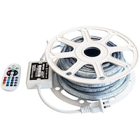 �k�d�c���[�v���C�g�q�f�a�Жʔ����@�P�O���@�d���t���@�e�q�k�|�q�f�a�P�O�l�@�P��