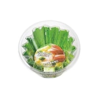 ���ٓ��J�b�v�@���{���@���^�X��������P�[