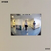 �e�e�~���[�ʘH�@���E�p�@�@�e�s�R�S�@�i��