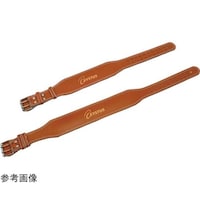 �E�G�C�g�g���[�j���O�x���g�@�E�G�X�g�U�O