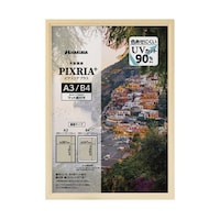 �ؐ��z�@�s�N�X���A�v���X�@�`�R�@�m�s�@�e