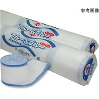 ���Z���K�p�ȕ�с@�u���[���u���[�@�U��@