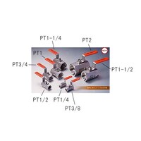 �E�B�[�R�b�N�@�X�e�����X���@�o�s�R�^�W�@