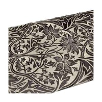 �\���Ă͂�����@�ǎ��@���������C�N�V�[�g