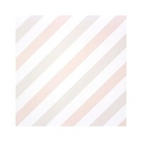 �����C�N�V�[�g�@�Ǘp�@�����@�b�`�r�`�@��